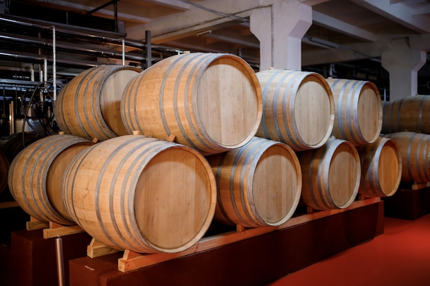 Vecchie botti di legno tradizionali invecchiate con vino in una volta allineate in cantina fresca e buia in Italia, Porto, Portogallo, France