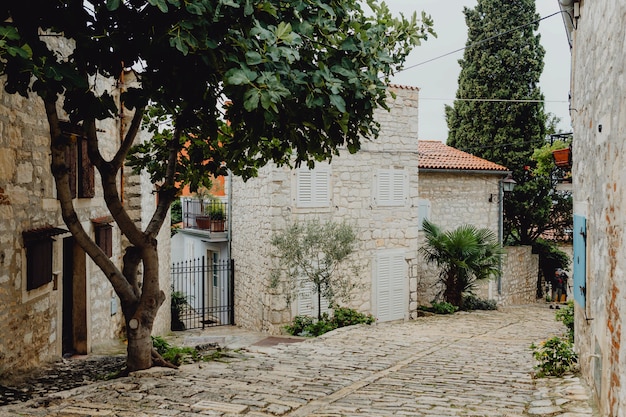 Vecchie costruzioni della città in Croazia