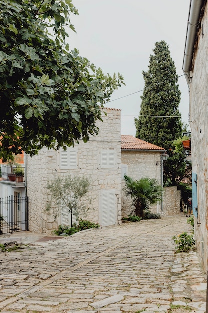 Vecchie costruzioni della città in Croazia