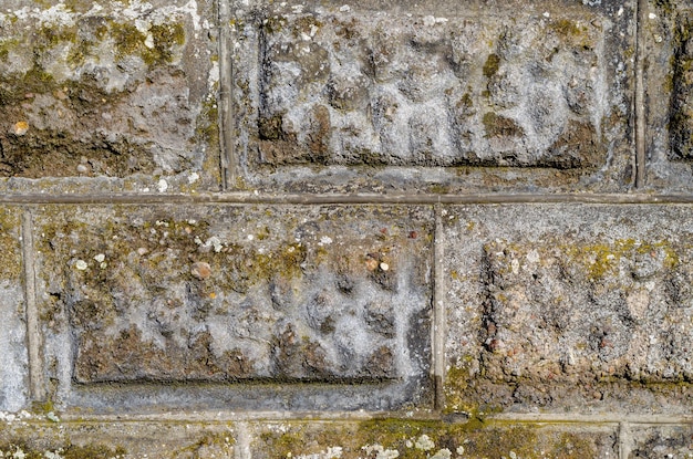 Vecchie piastrelle di pietra Texture di antico muro di pietra Sfondo per una società di costruzioni Parzialmente coperto di muschio e fango