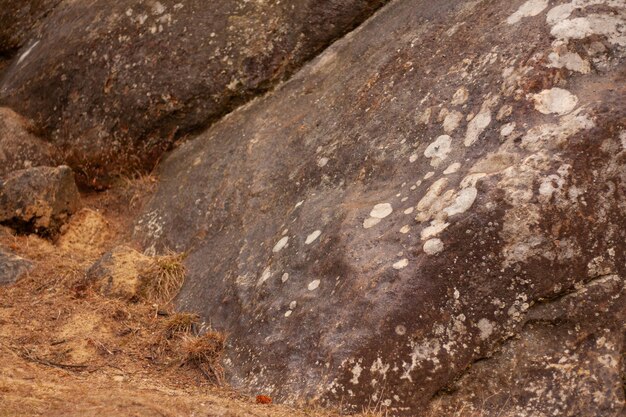 vecchie rocce di Tustan con muschio in Ucraina