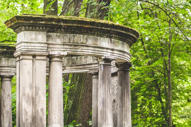 Vecchie rovine contro gli alberi della foresta