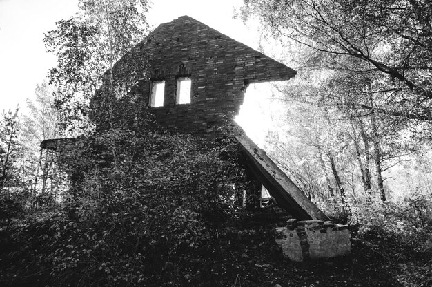 Vecchie rovine crollarono casa di mattoni forestaFoto in bianco e nero