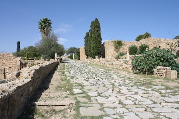 Vecchie rovine vuote.