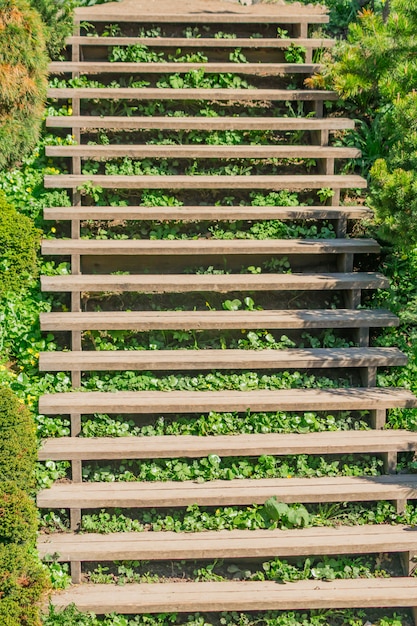 Vecchie scale in legno nel parco