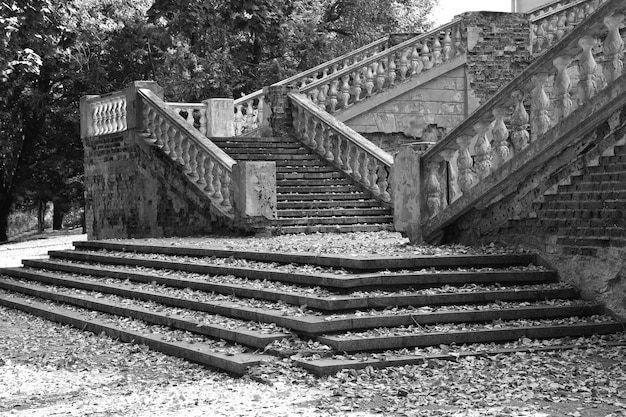 vecchie scale nel parco estivo. in bianco e nero