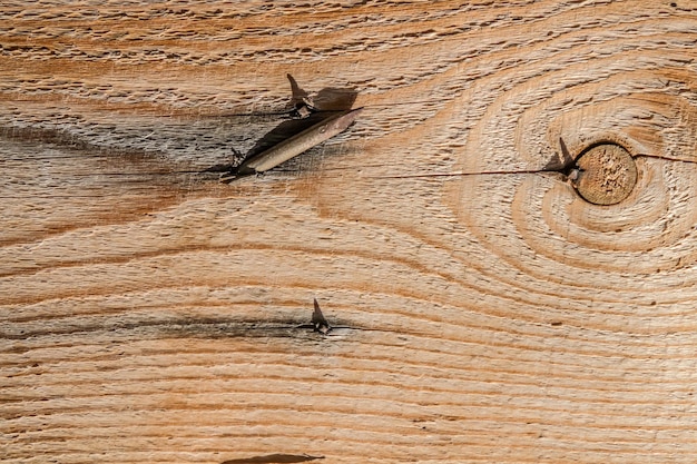 Vecchie tavole di legno a secco come sfondo