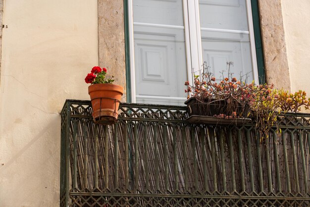 Vecchio balcone con vasi di fiori