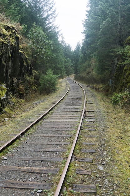 Vecchio binario ferroviario abbandonato