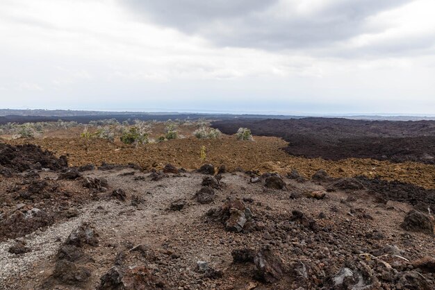 Vecchio campo di lava sulla Big Island Hawaii USA