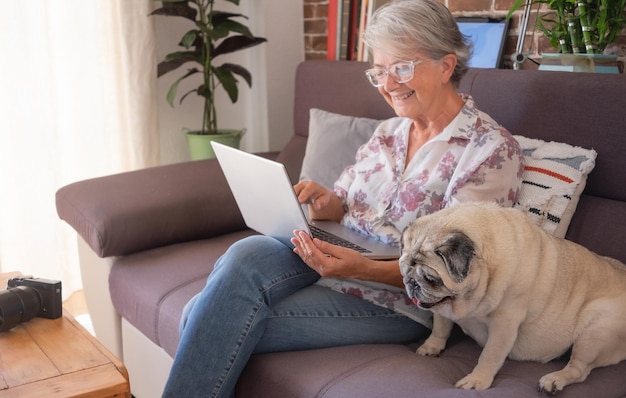 Vecchio cane carlino chiaro seduto sul divano di casa vicino a una donna anziana sorridente anziana moderna felice signora dai capelli grigi che utilizza il computer portatile godendo della tecnologia e dei social media