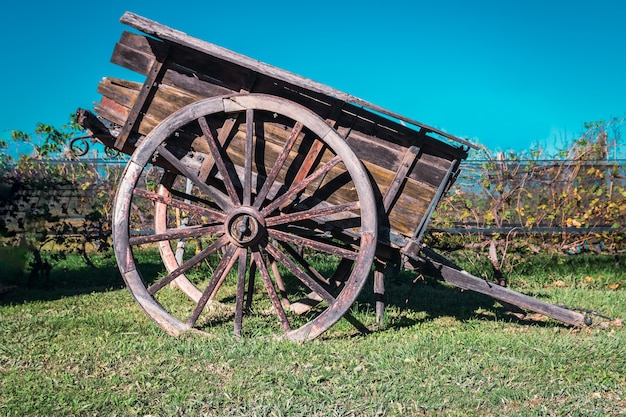 Vecchio carro a cavallo con sfondo di vigneto