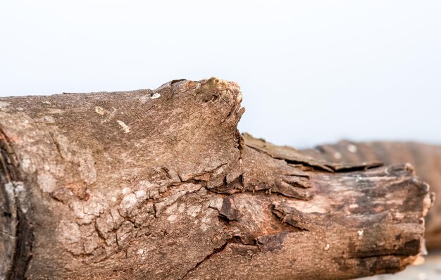 Vecchio ceppo di legno abbandonato da vicino con il fuoco selettivo sotto il cielo nebbioso