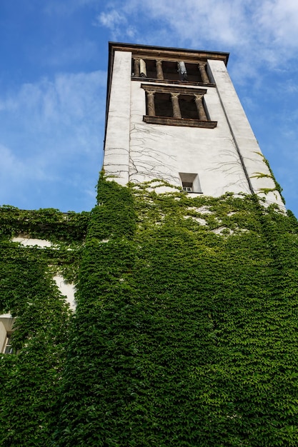 Vecchio edificio coperto di edera