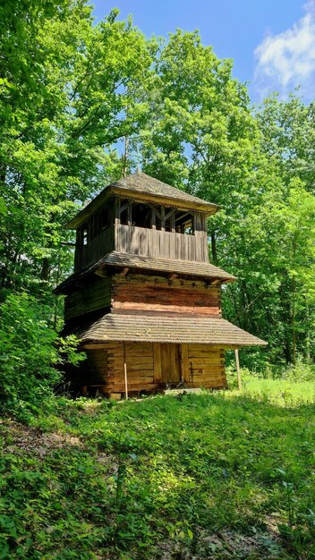 Vecchio edificio in legno nella foresta