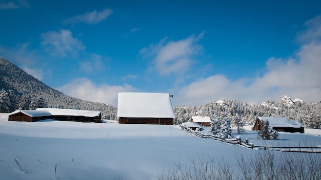 Vecchio fienile dopo la tempesta di neve in Evergreen, Colorado.