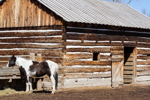 Vecchio fienile in legno in un ranch locale.