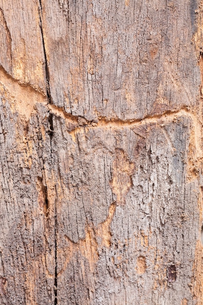 Vecchio fondo della tavola di legno.