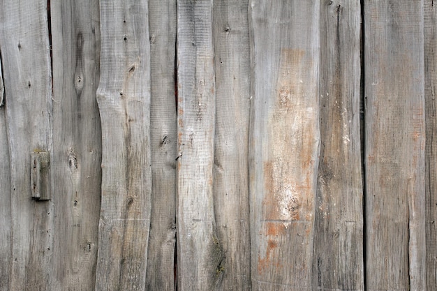 Vecchio fondo di legno grigio. Struttura del pannello di legno