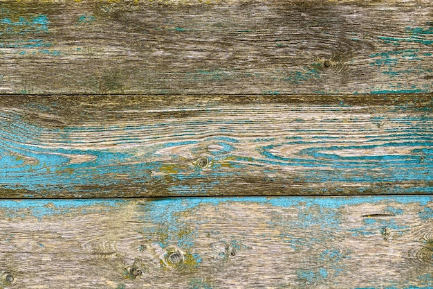 Vecchio fondo di legno marrone blu con vernice scrostata e legno naturale di muffa verde in stile grunge top...