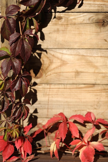 vecchio fondo in legno con foglie rosse autunnali