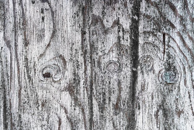 Vecchio fondo o struttura di legno Foto di alta qualità