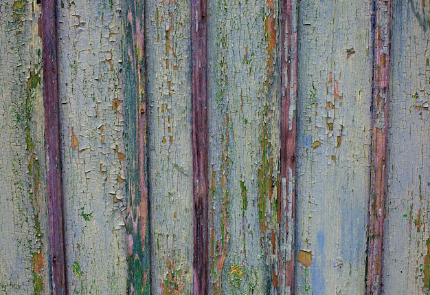 Vecchio fondo rustico verde chiaro dipinto di legno,