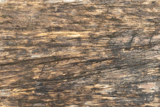 Vecchio fondo squallido in legno naturale da vicino