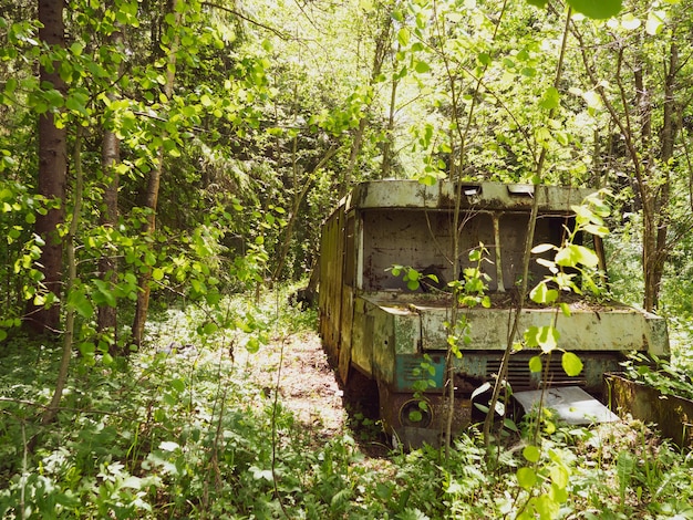 Vecchio furgone abbandonato nel fitto della foresta