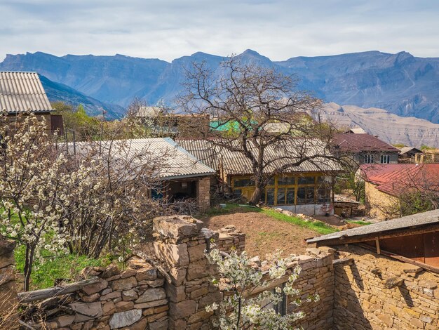 Vecchio giardino primaverile pittoresco del paesino di montagna. Vecchio villaggio in Daghestan. Casa rurale in pietra in un villaggio a Goor, Daghestan. Russia.