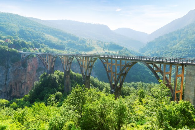 Vecchio grande ponte e vista sul fiume