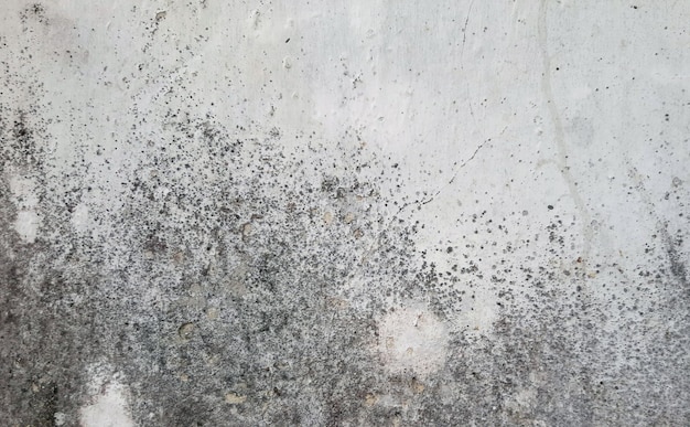 Vecchio Grunge Wall Texture Background Muro Di Cemento Sporco Texture Concreta Bianca Abstract Wal Rotto