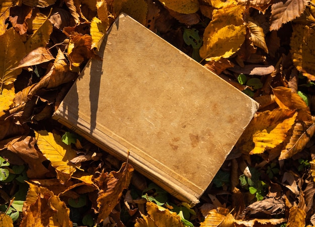 Vecchio libro, varie foglie autunnali e luce solare intensa Sfondo autunnale piatto vista dall'alto. Copia spazio