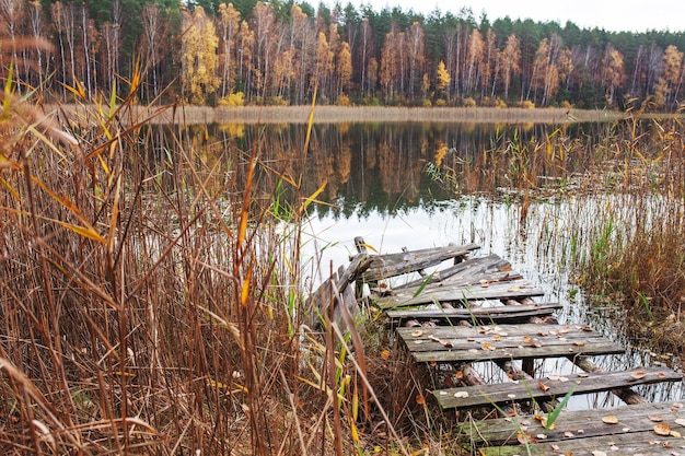 Vecchio molo di legno con foglie autunnali sul lago della foresta Luogo di relax e meditazione Tempo d'autunno