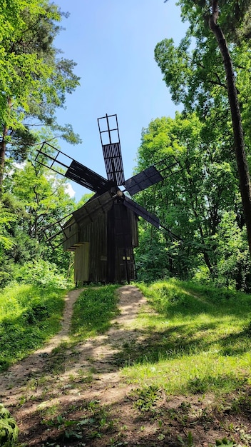 Vecchio mulino a vento in legno tra gli alberi della foresta sotto un cielo blu chiaro