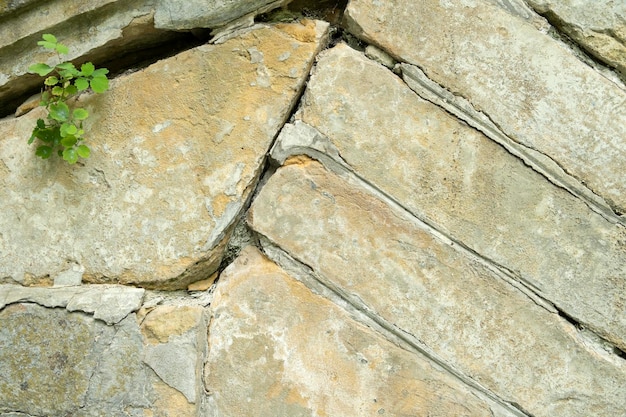 Vecchio muro di pietra con cemento distrutto Sfondo della parete di design in stile industriale Foto di alta qualità