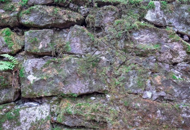 vecchio muro di pietra coperto di muschio