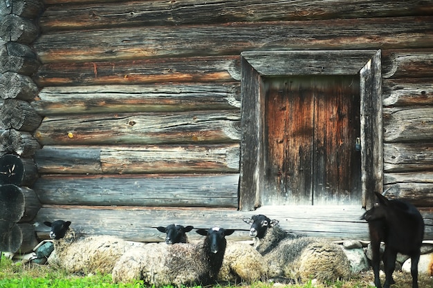 Vecchio museo storico ortodosso. Incredibile bellissimo paesaggio rurale unico. Paese del nord Russia.