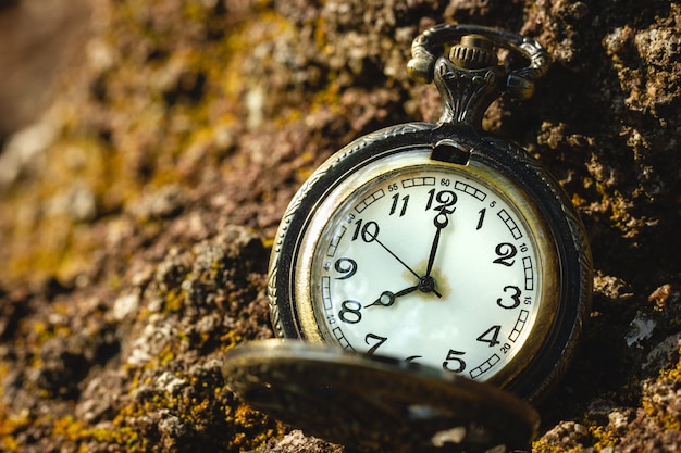 Vecchio orologio da tasca d'annata disposto sulla roccia nella foresta e nella luce solare di mattina. UN