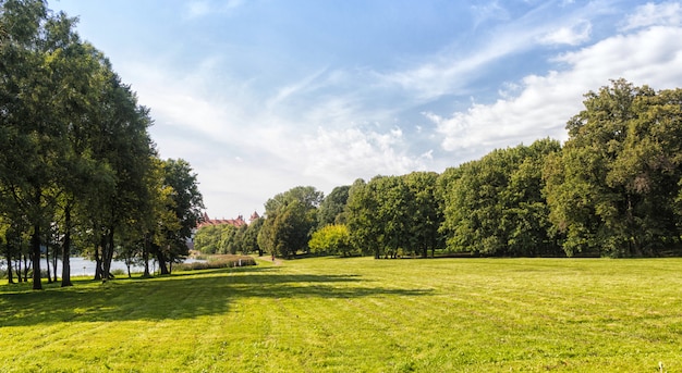 Vecchio parco con prati verdi e grandi alberi.