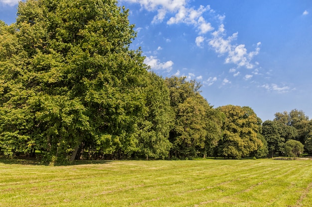 Vecchio parco con prati verdi e grandi alberi.