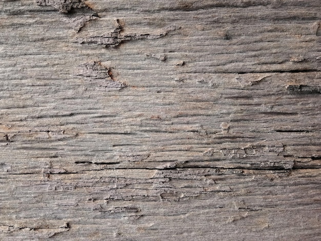 Vecchio pavimento in legno per grafica o sfondi