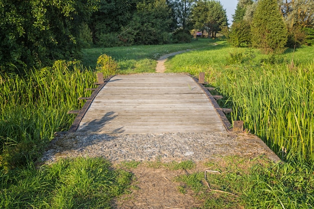 Vecchio ponte di legno nel parco. Bielorussia.