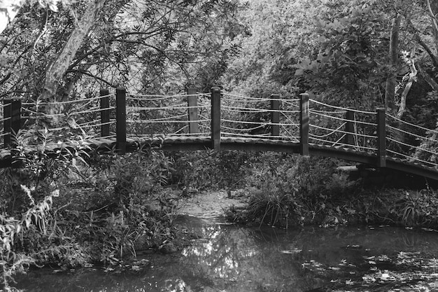 Vecchio ponte di legno nel parco naturale