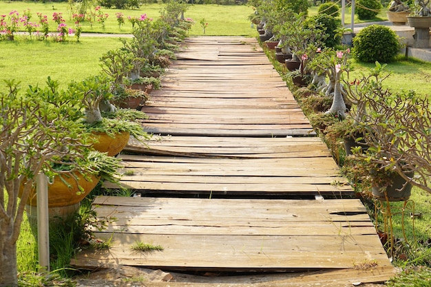 vecchio ponte di legno nel parco