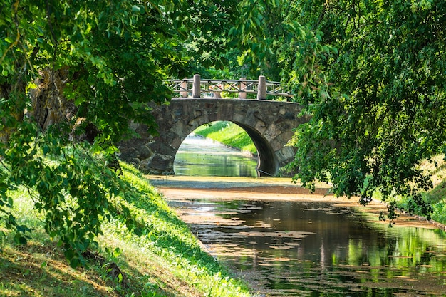 Vecchio ponte di pietra sopra il fiume e fogliame verde lussureggiante.