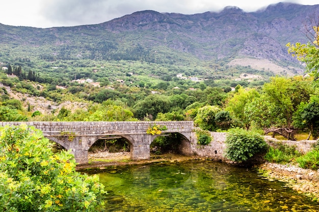 Vecchio ponte di pietra sul piccolo fiume trasparente a