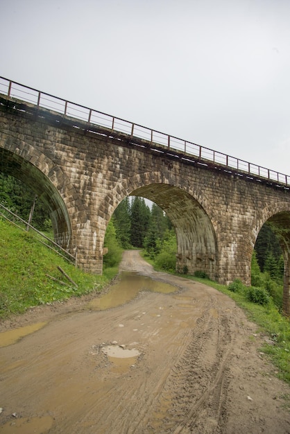 Vecchio ponte ferroviario di pietra tra gli abeti