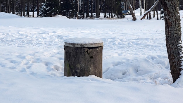 Vecchio pozzo nel prato invernale nella foresta