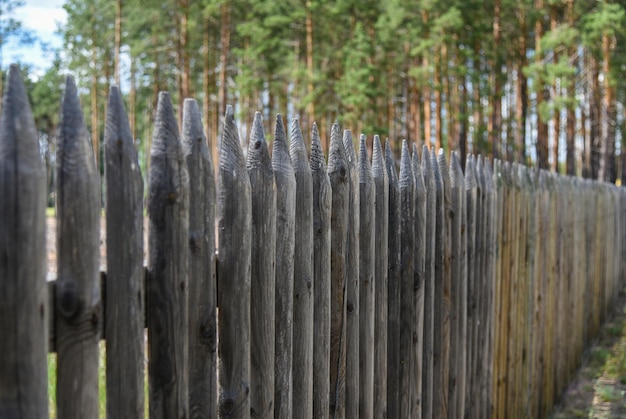 Vecchio recinto tagliente di legno nella foresta